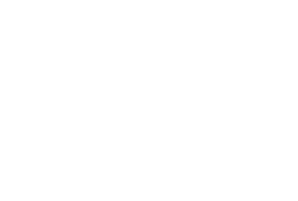 Endgame-Economics_white