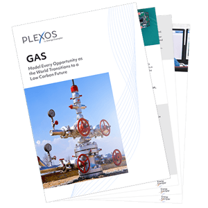 PLEXOS Gas Brochure 