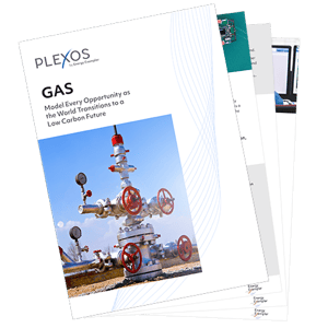 PLEXOS Gas Brochure 