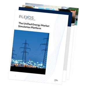 PLEXOS Brochure Preview