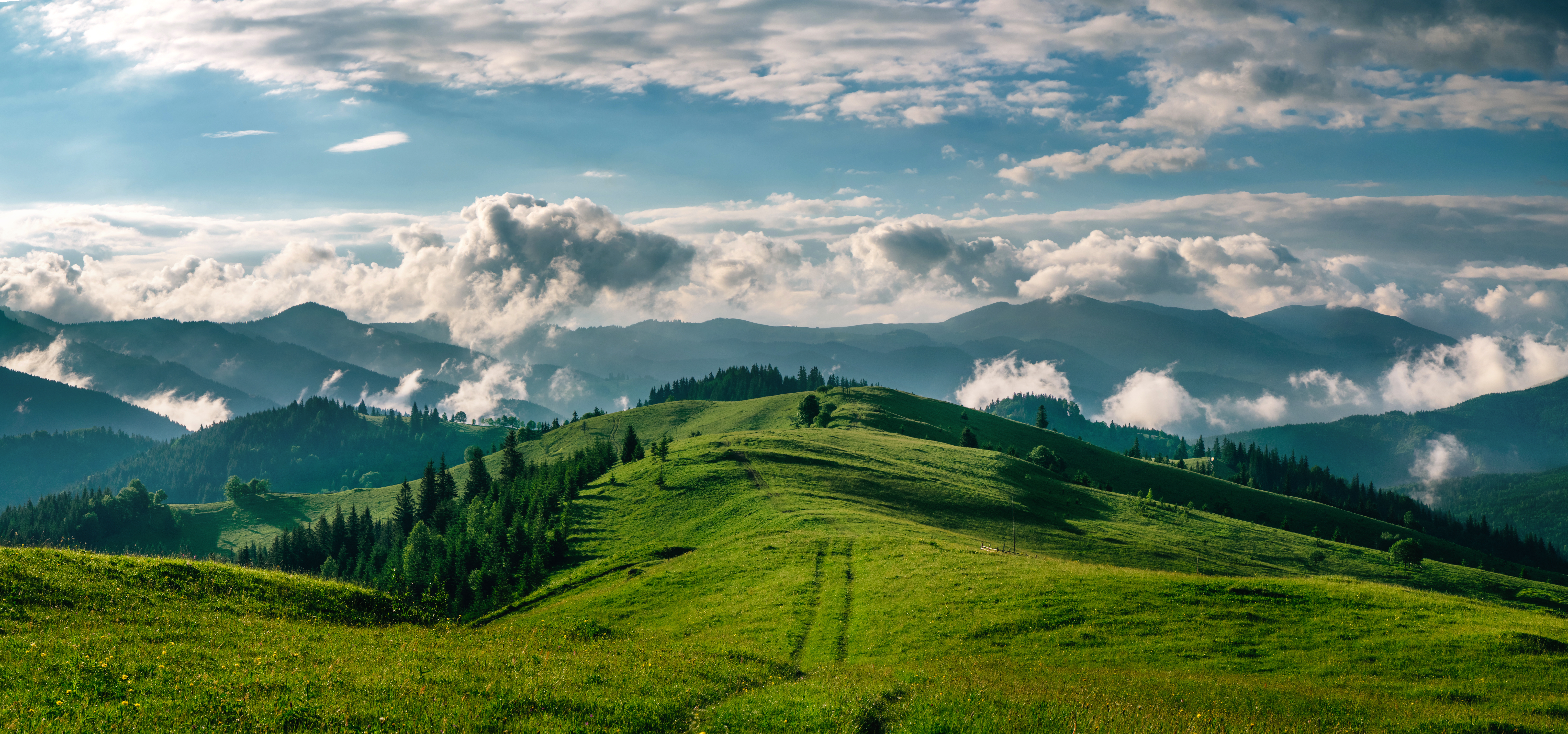 Climate and Resource Management